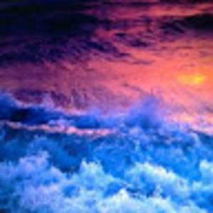 Meet your Posher, Taylynn